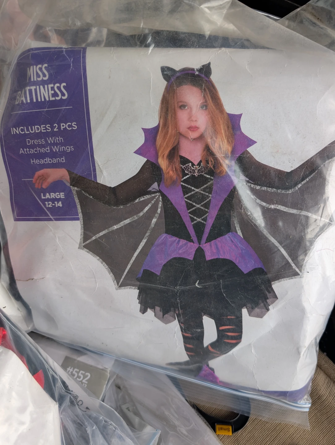 Take all Costumes 100$