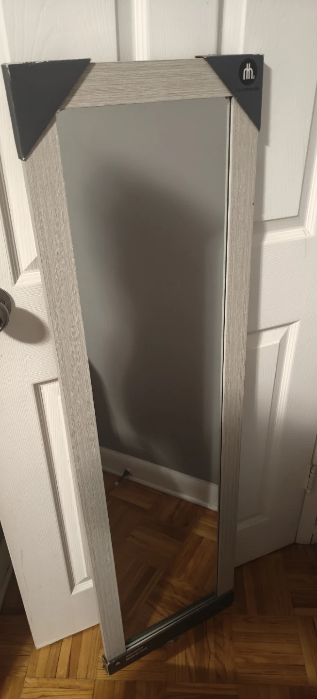 Door Mirror