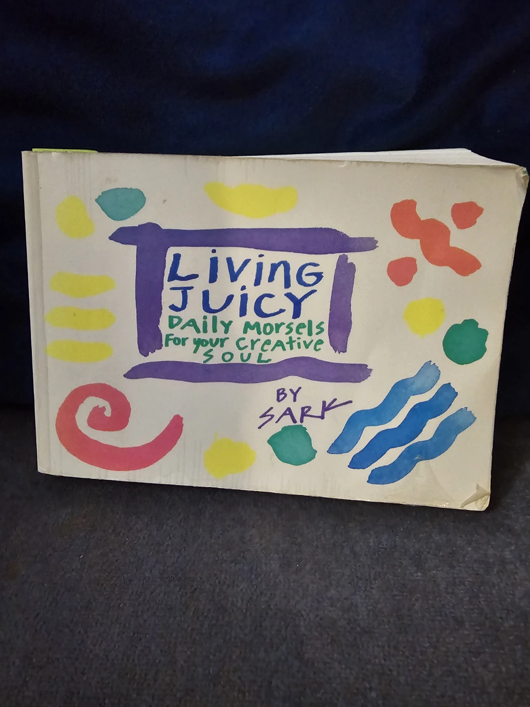 Living Juicy Daily Morsels for your Creative Soul by SARK Book