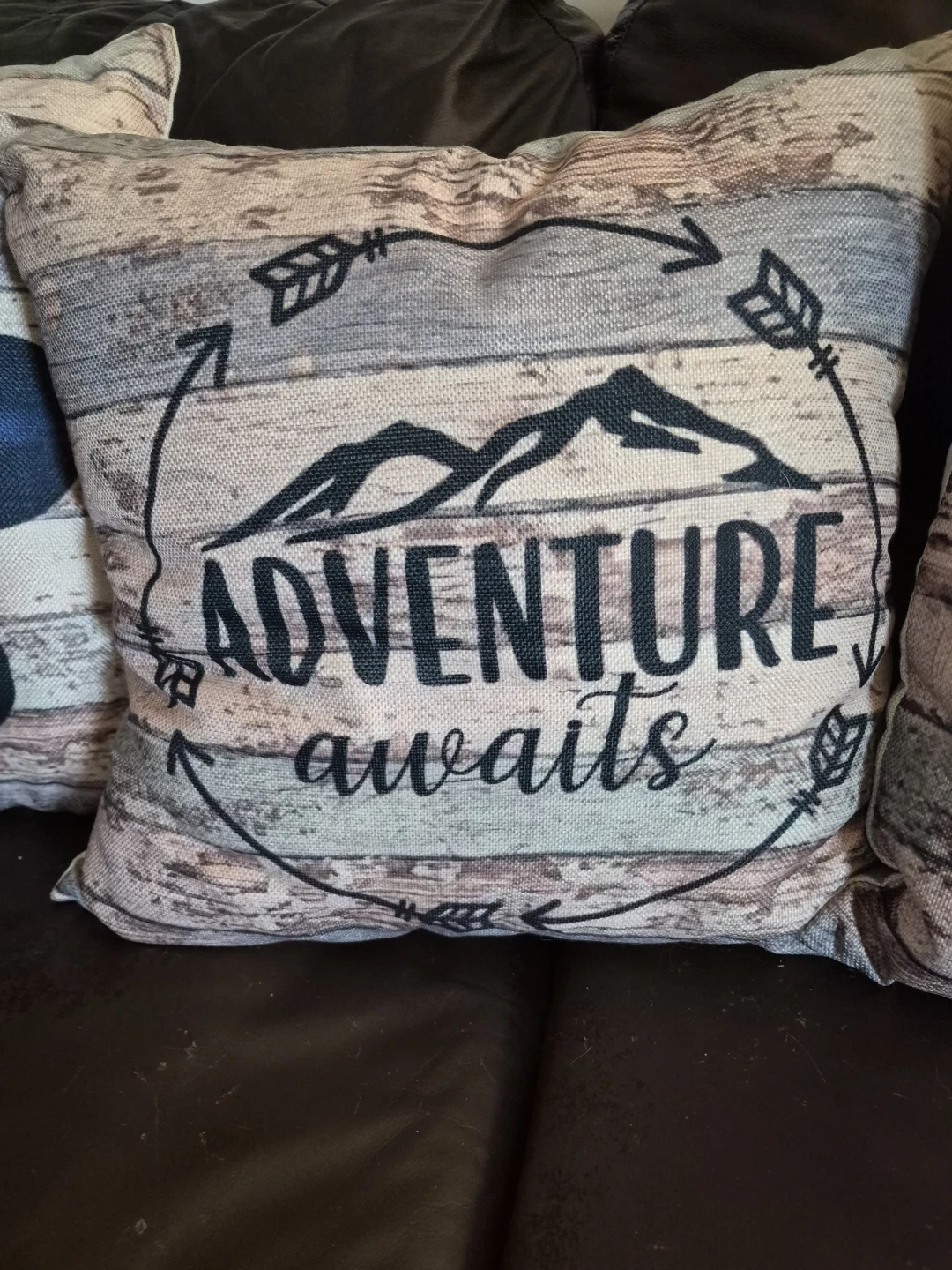 Set of 4 Camping Throw Pillows - photo 3