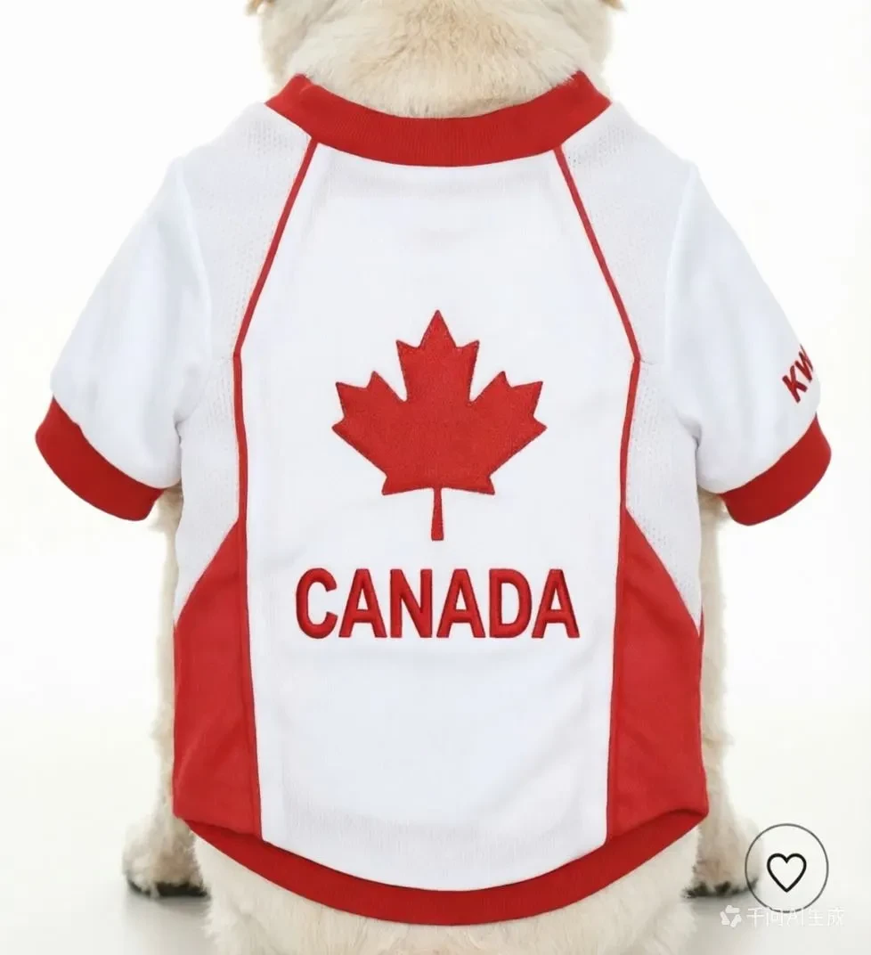 Kwayaa Clothes Canada Dog Jersey - photo 3