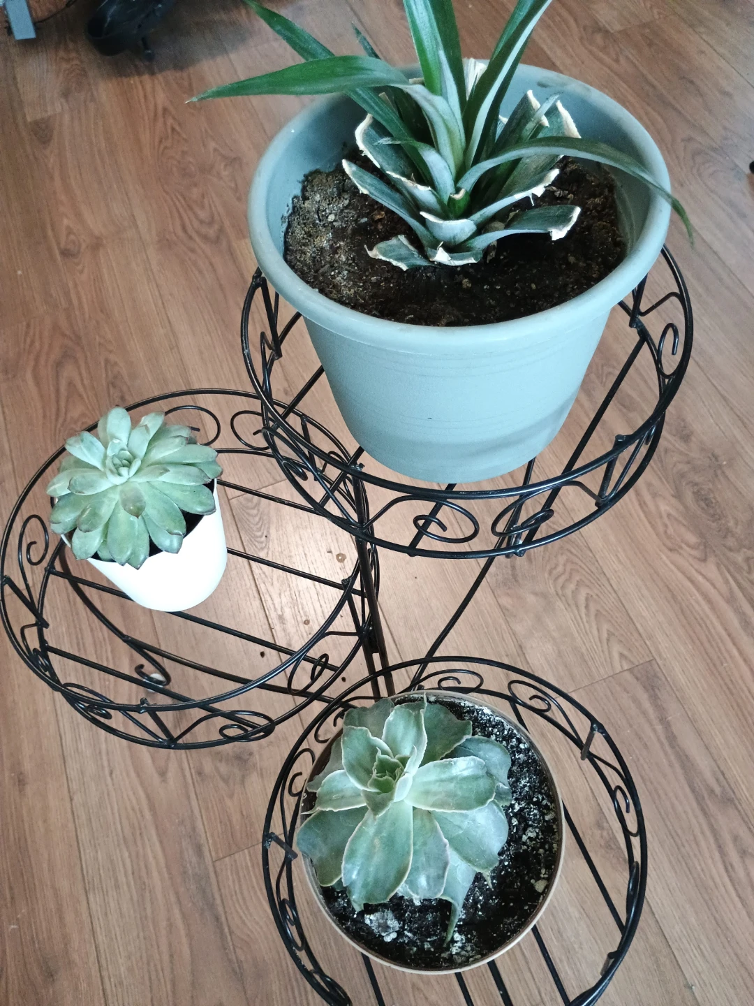 ⚽  Black Metal Adjustable Tiered Plant Stand