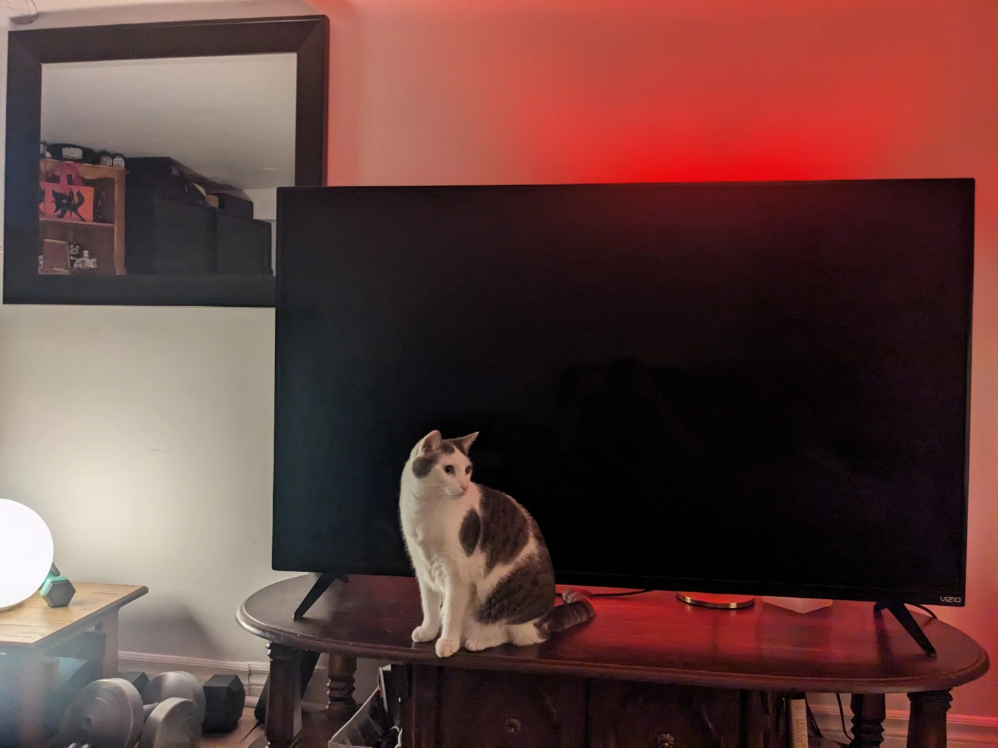 VIZIO Smart TV - photo 2