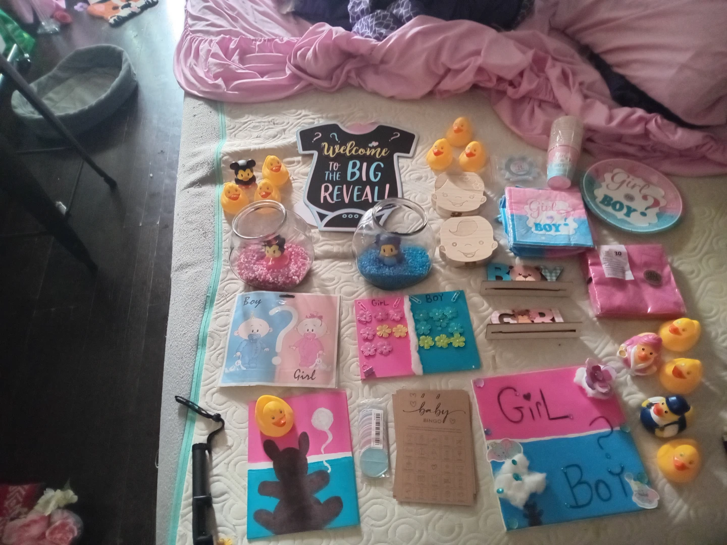 Baby Gender Reveal Party Supplies