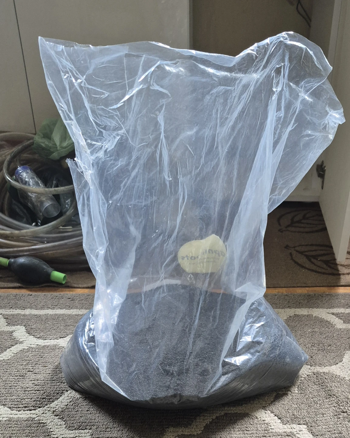 Bag of Black Sand - photo 2