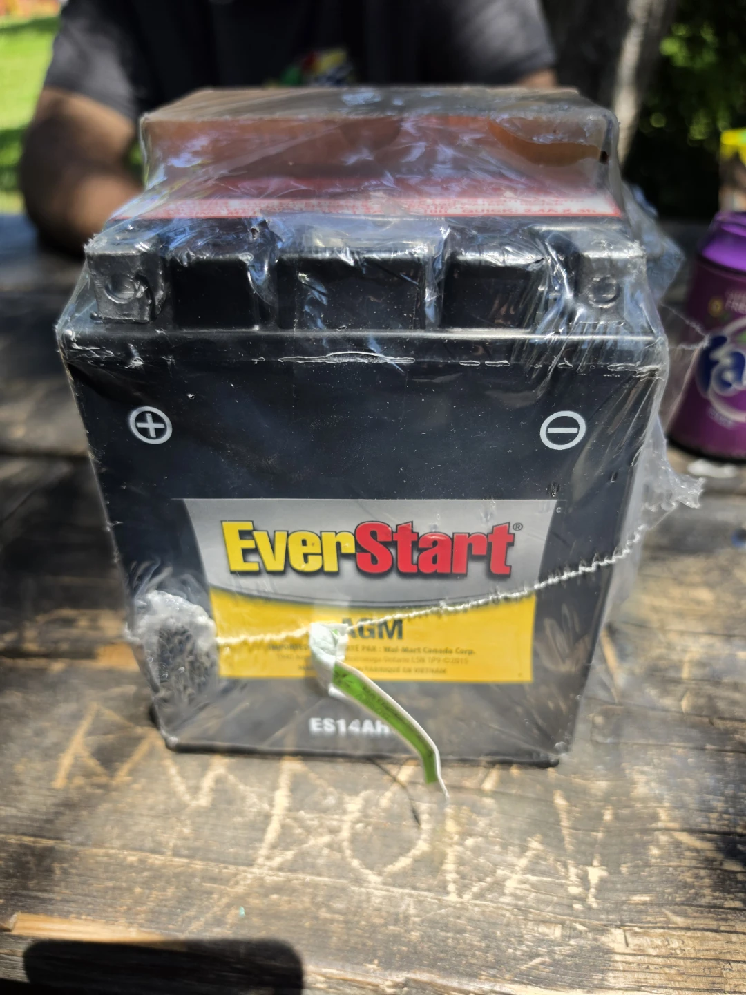EverStart AGM Battery ES14AH