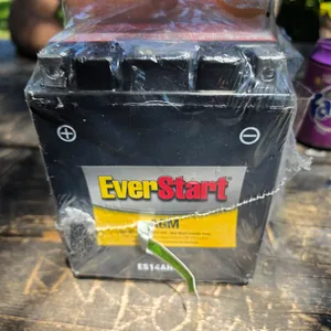 EverStart AGM Battery ES14AH