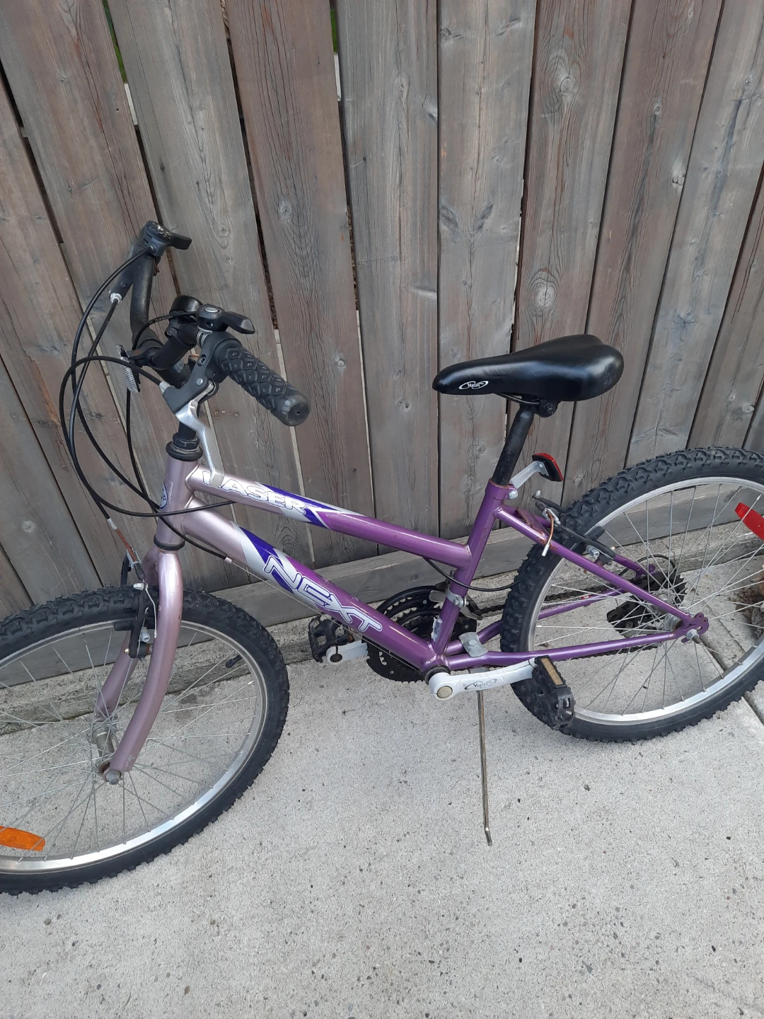 NEXT "TM" Girls Bicycle