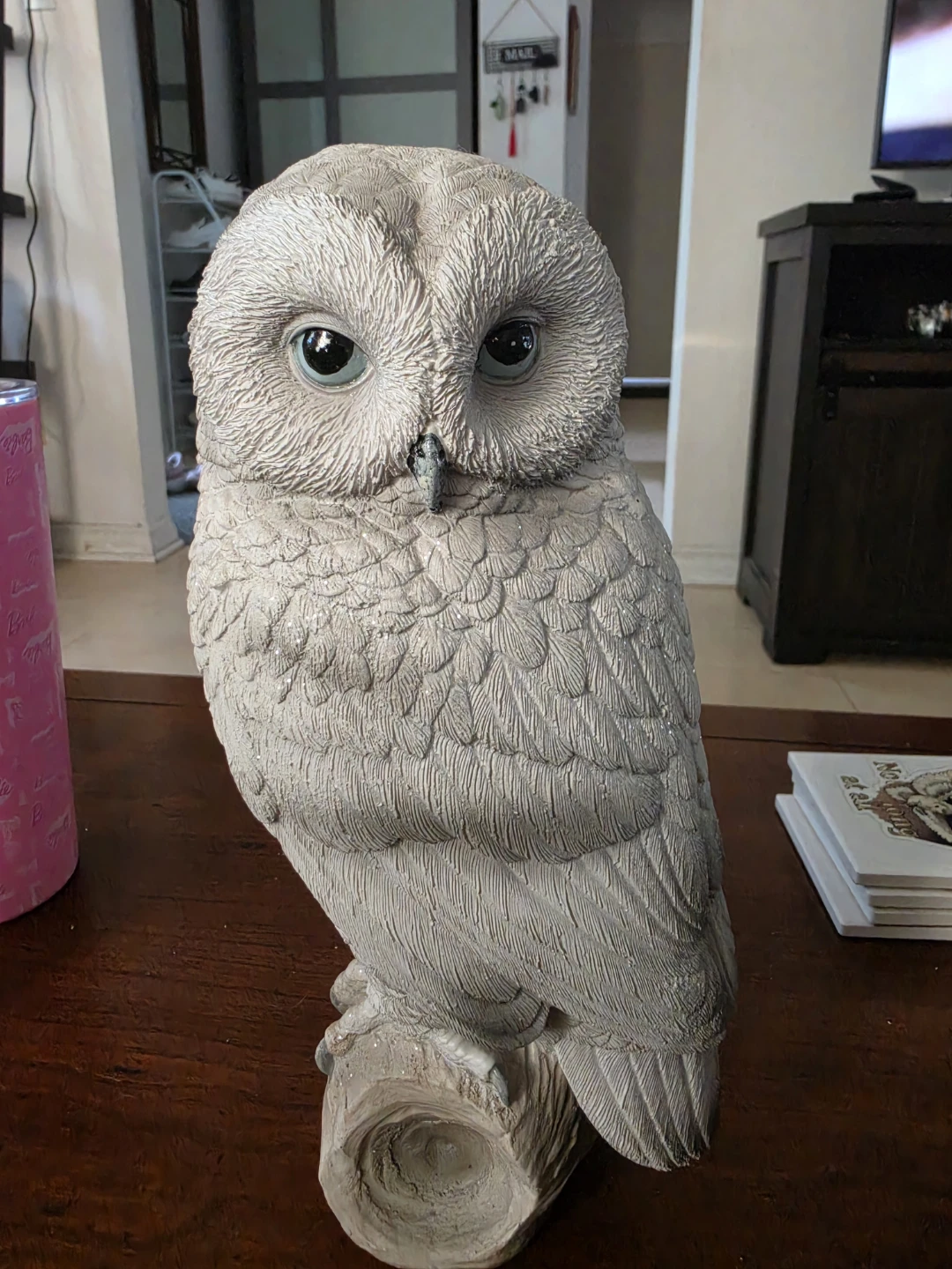 Snowy Owl - photo 2