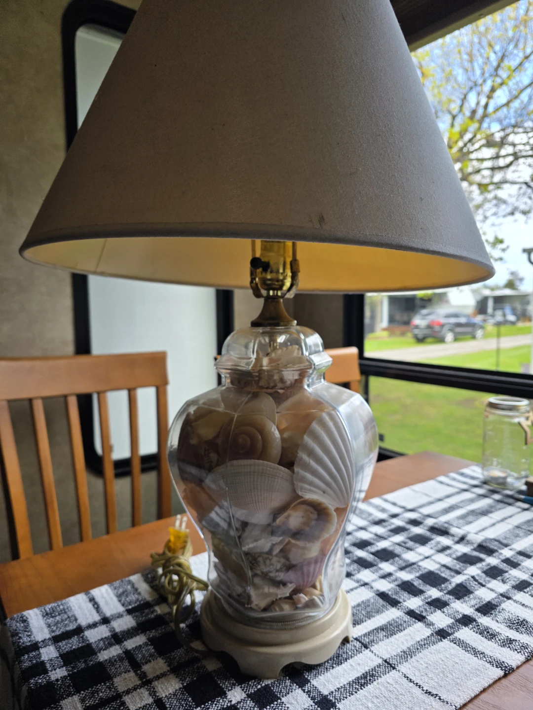 Florida shell lamp