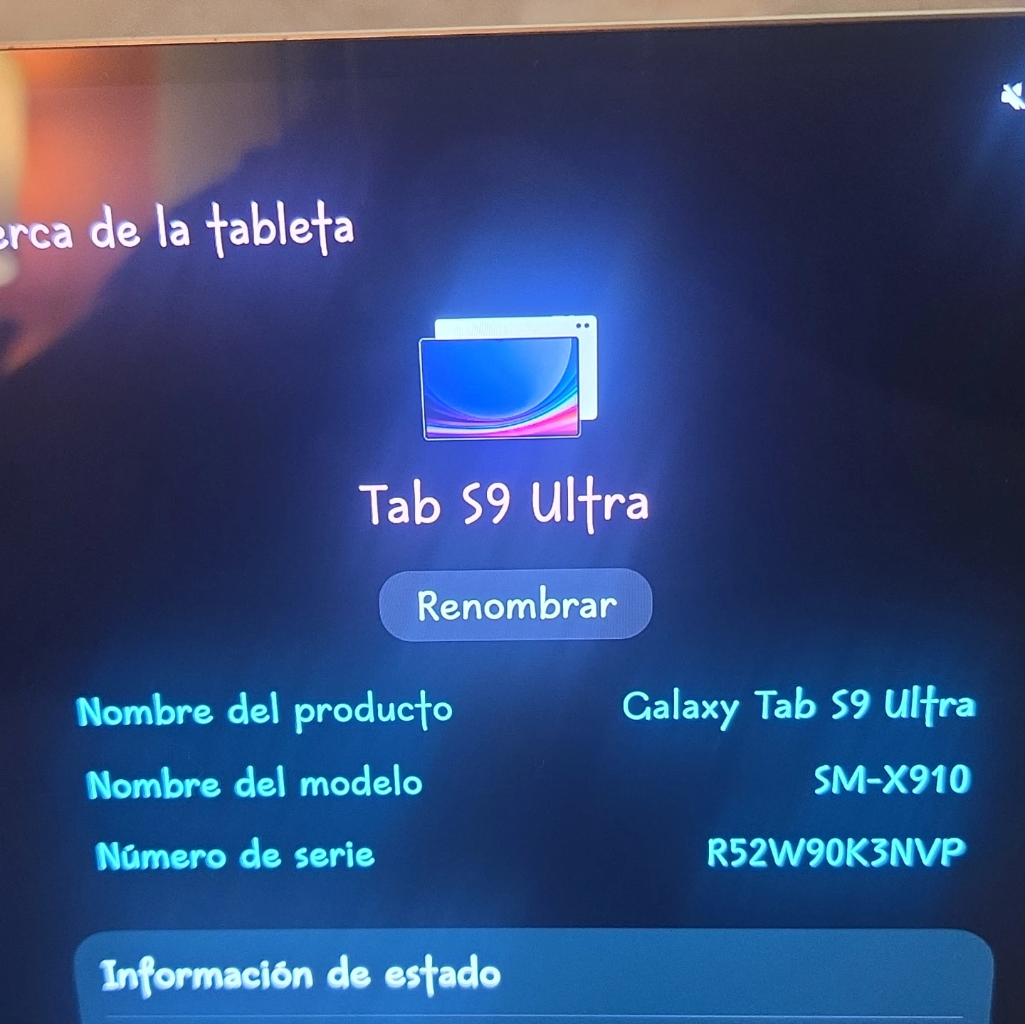 Samsung Galaxy Tab S9 Ultra SM-X910 Tablet