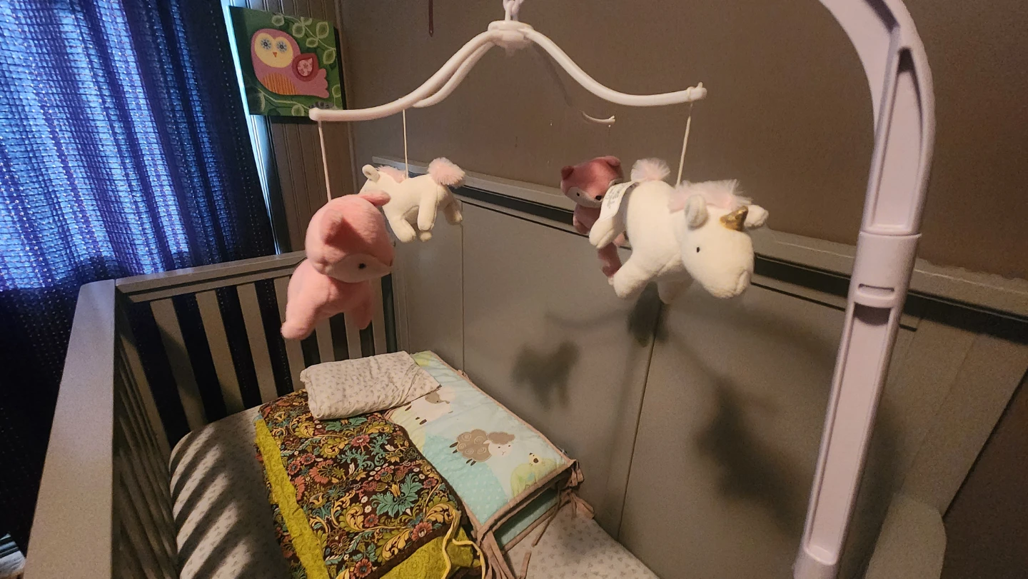 Practically New Baby Crib & Accessories - photo 5