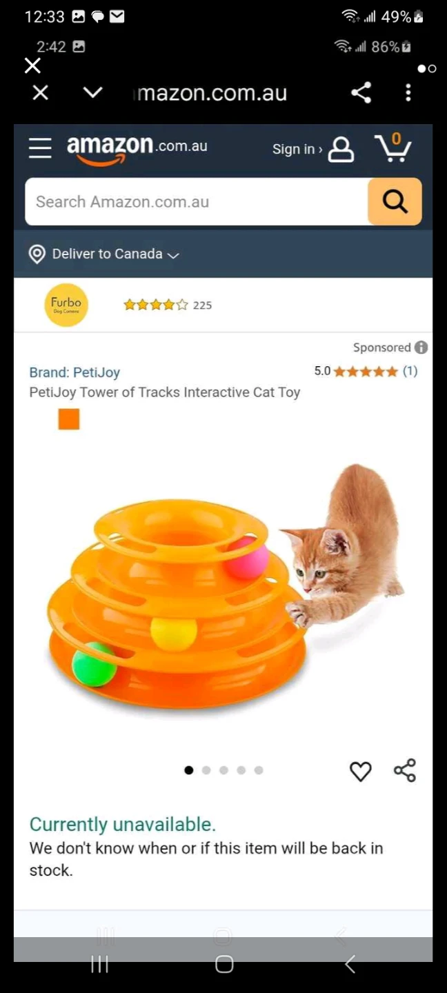 PetiJoy Tower of Tracks Interactive Cat Toy