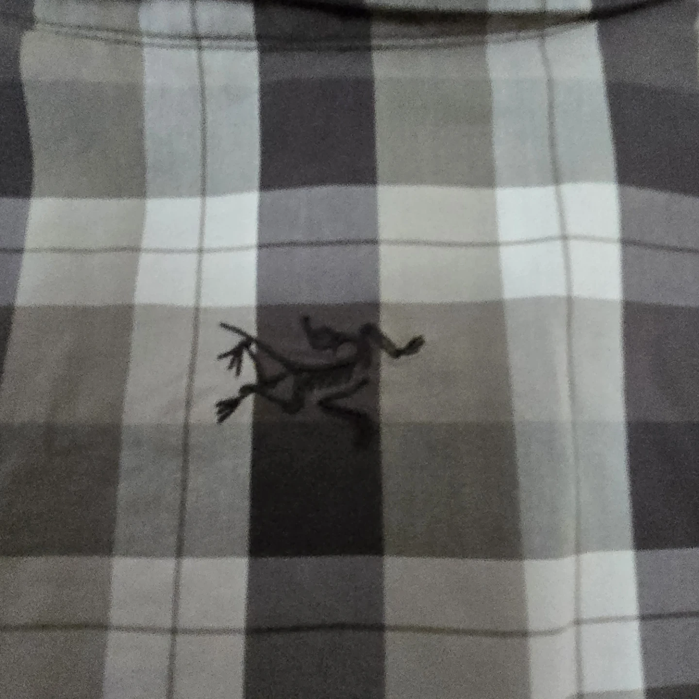 Arc'teryx Men's Plaid Short Sleeve Button-Up Shirt - Size L - photo 5