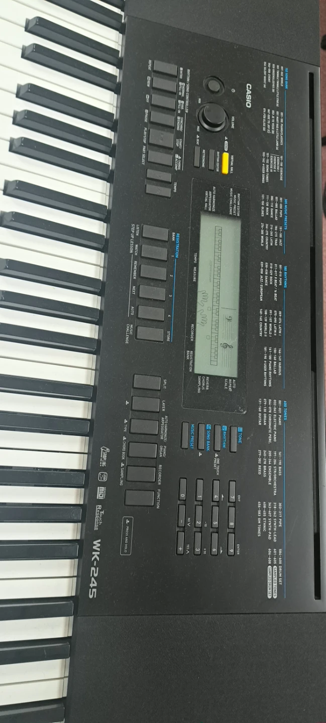 Casio WK-245 76-Key Keyboard - photo 4