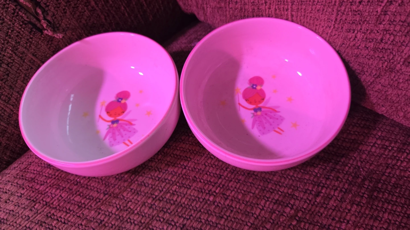 Set of 2 pet food Bowls with Fairy Design