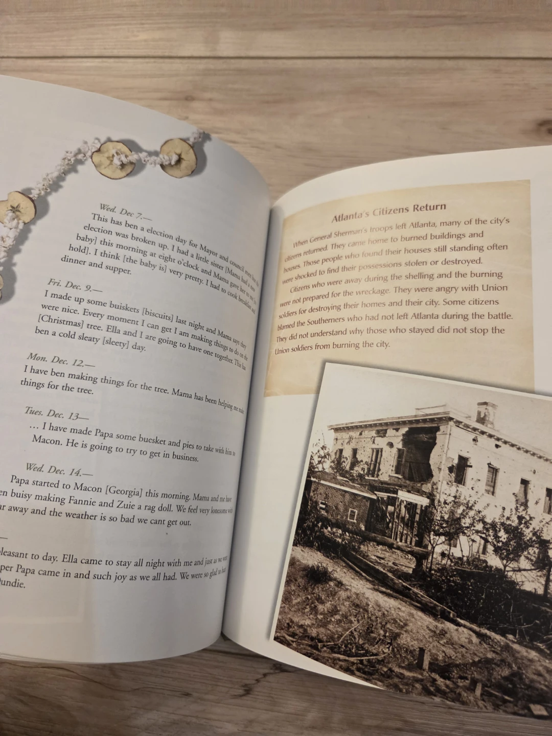 A Confederate Girl: 1864 The Diary of Carrie Berry,  Book - photo 5