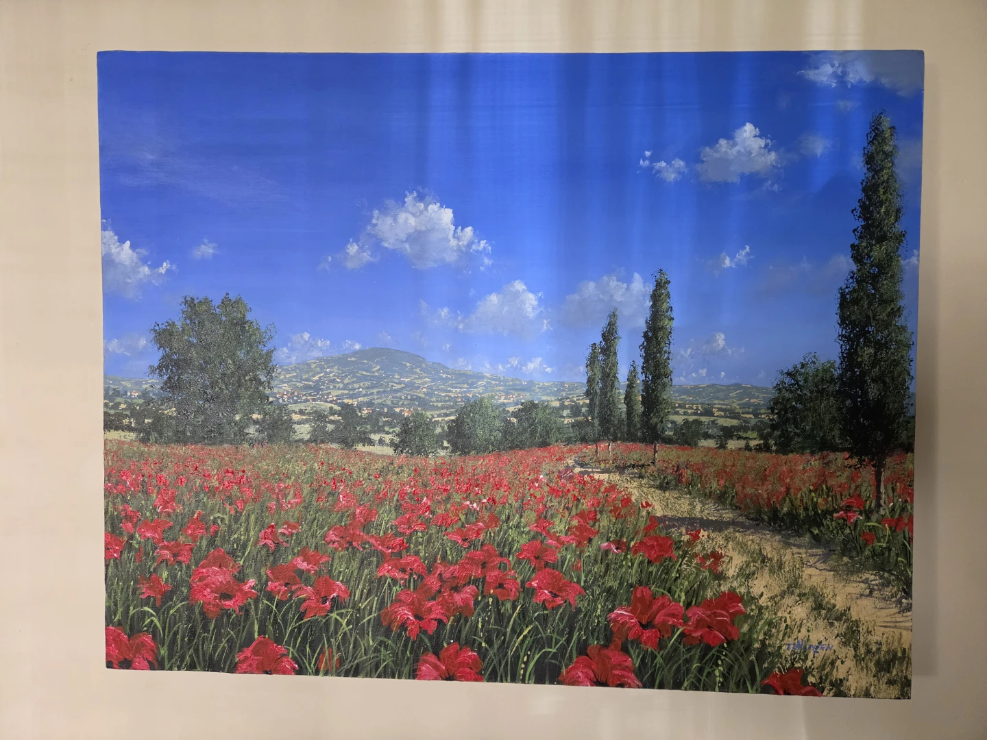 ⚽️Painting of a poppy field with a mountain landscape