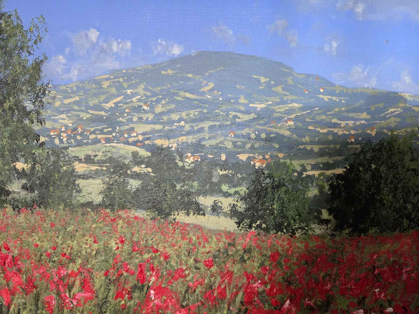⚽️Painting of a poppy field with a mountain landscape - photo 2