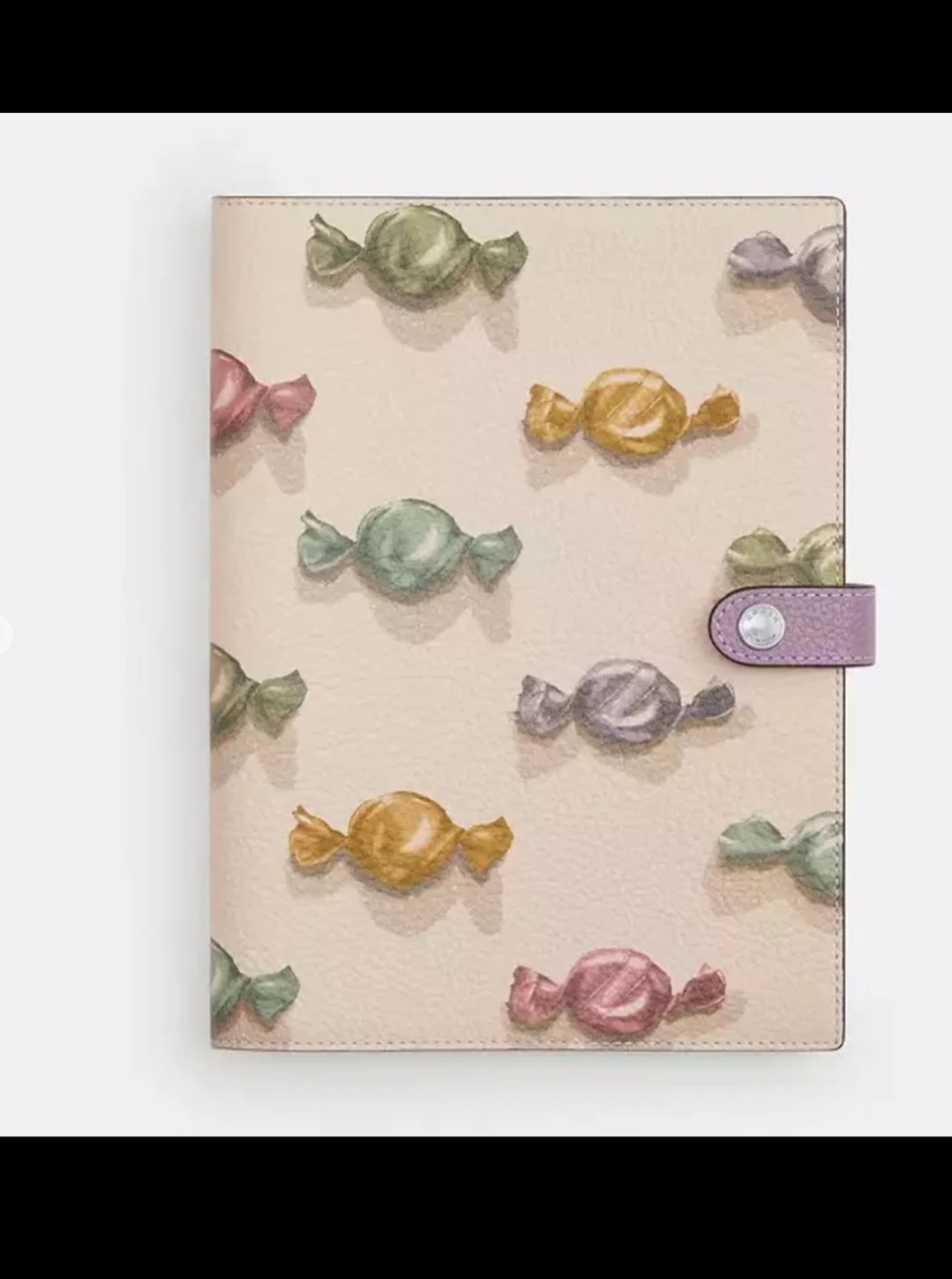 Coach Agenda/Planner Cover - photo 3