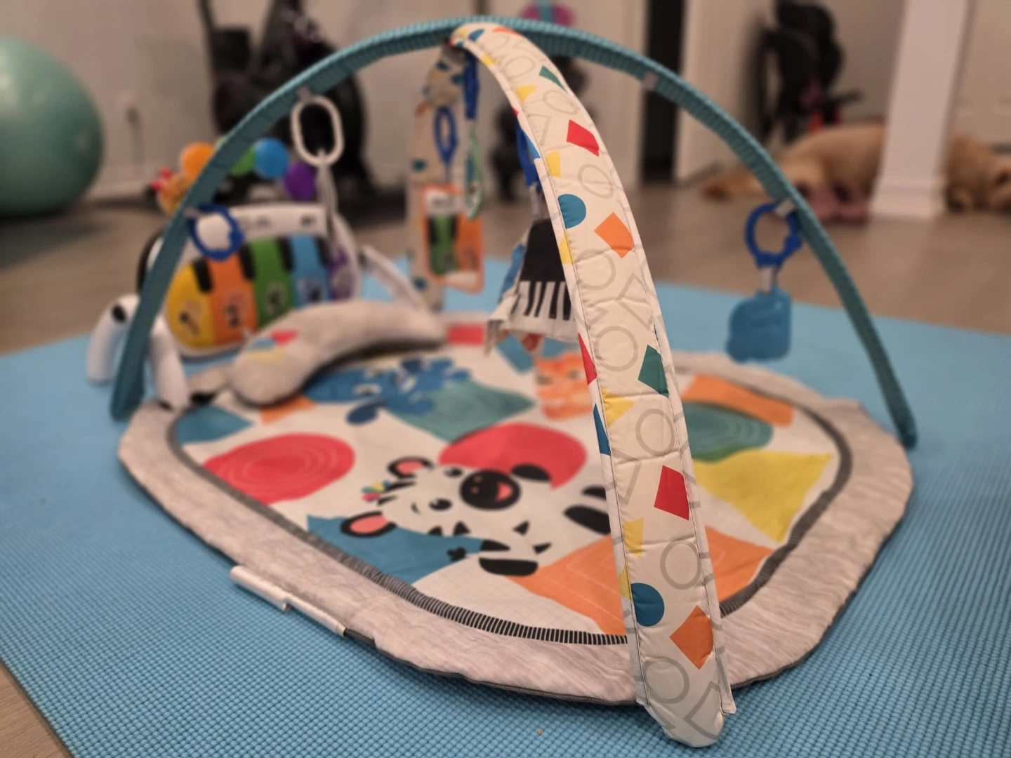 Baby Activity Play Gym Mat