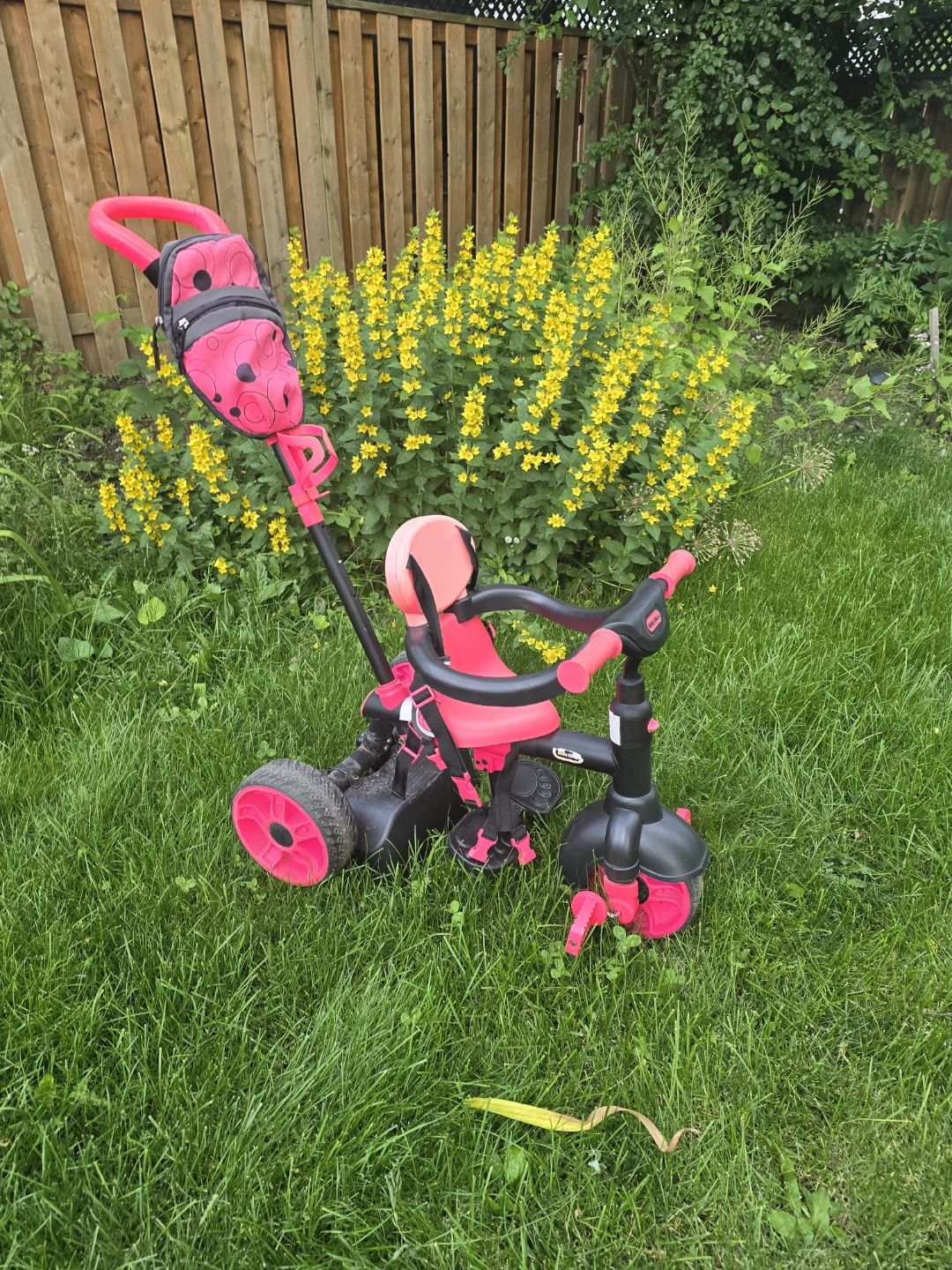 Pink Ladybug Tricycle with Push Handle
