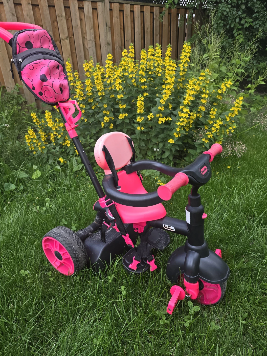 Pink Ladybug Tricycle with Push Handle - photo 2