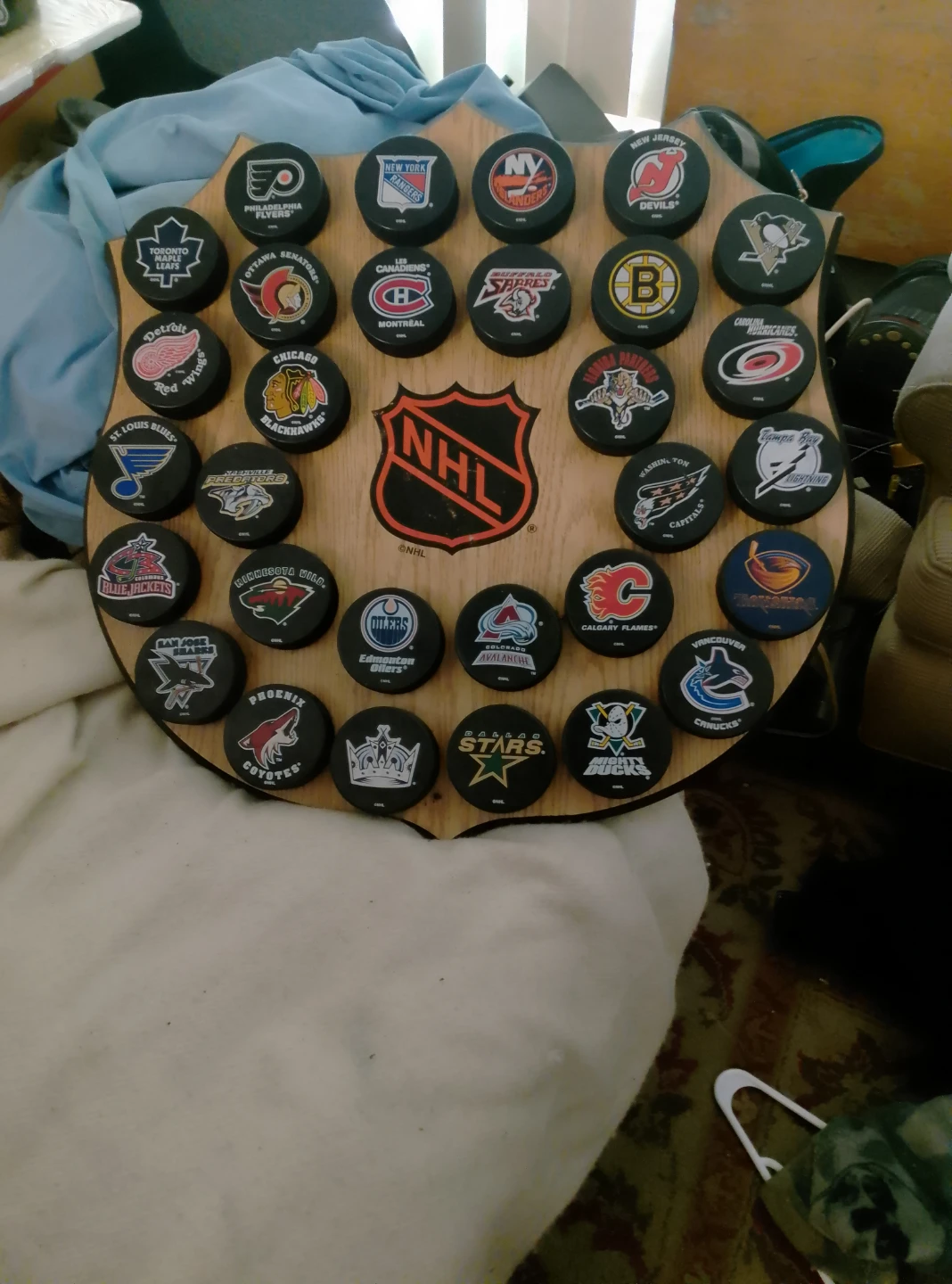 NHL Hockey Puck Display Shield