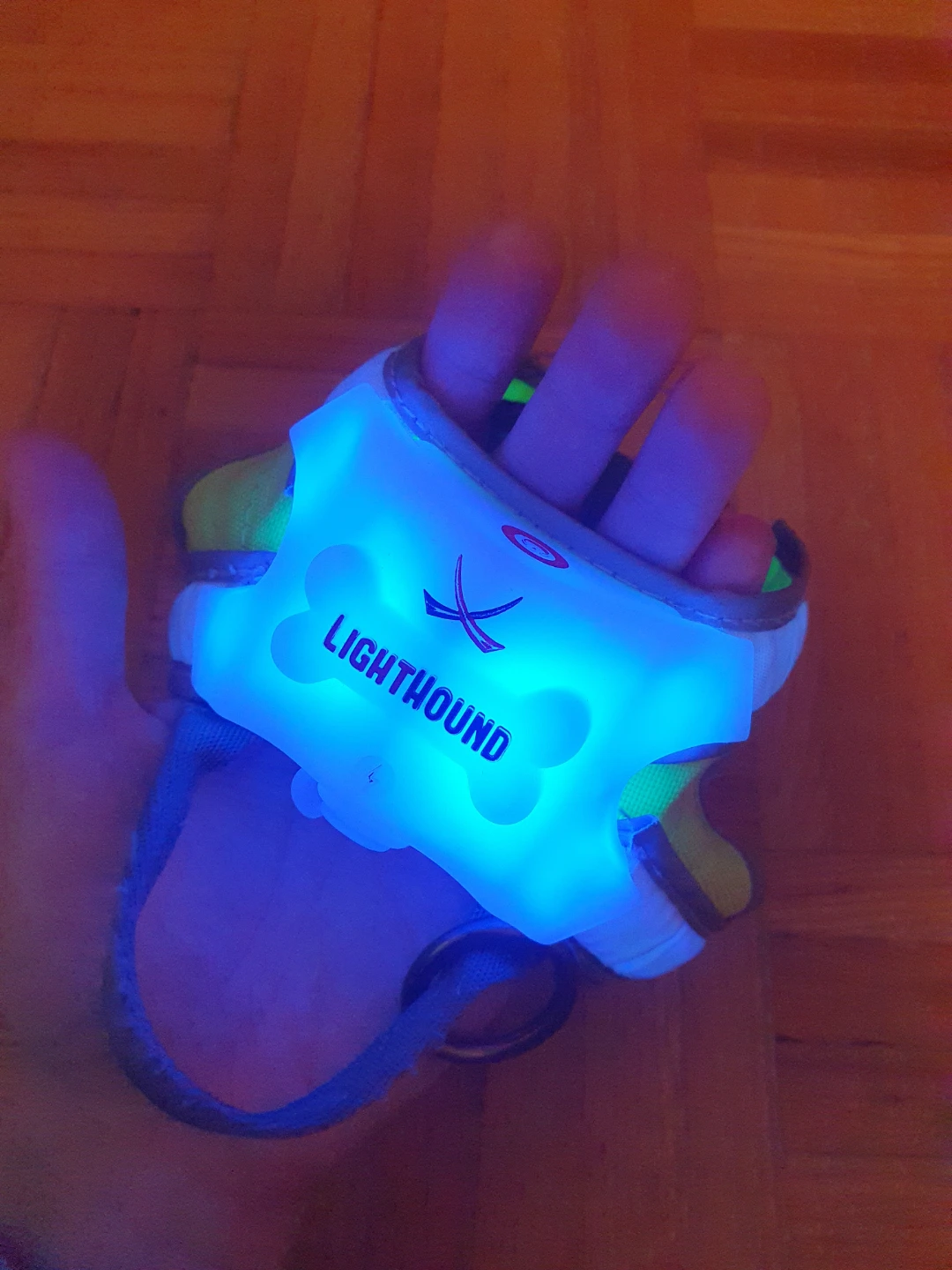 LightHound harness