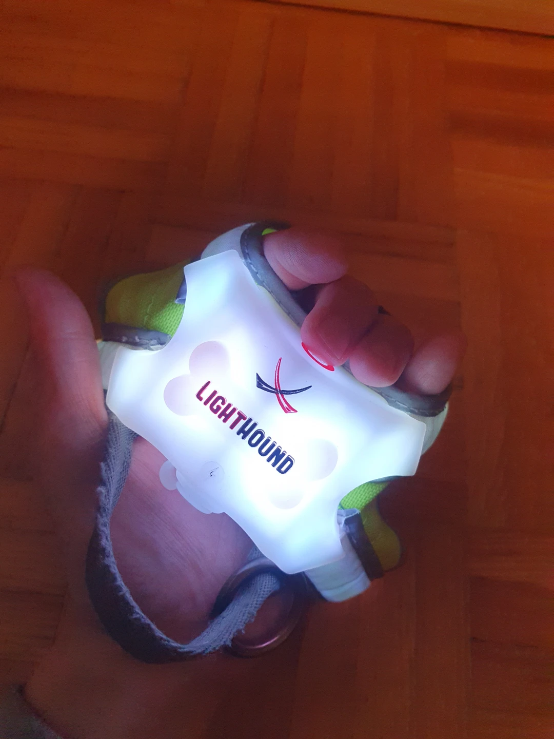 LightHound harness - photo 2