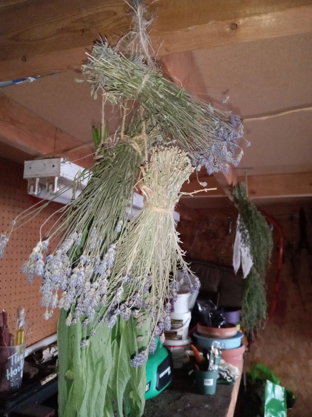 Comfrey bundles, dried lavender, dried savory - photo 3