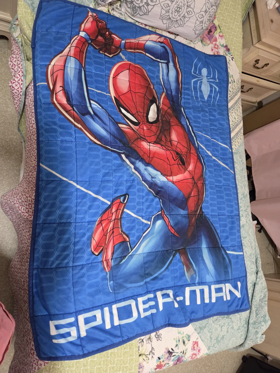 Marvel Spider-Man Throw Blanket - photo 2