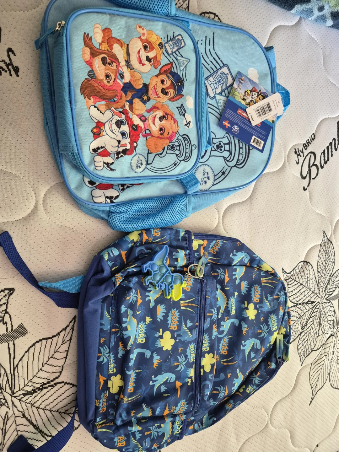 Paw Patrol and Dinosaur Backpacks