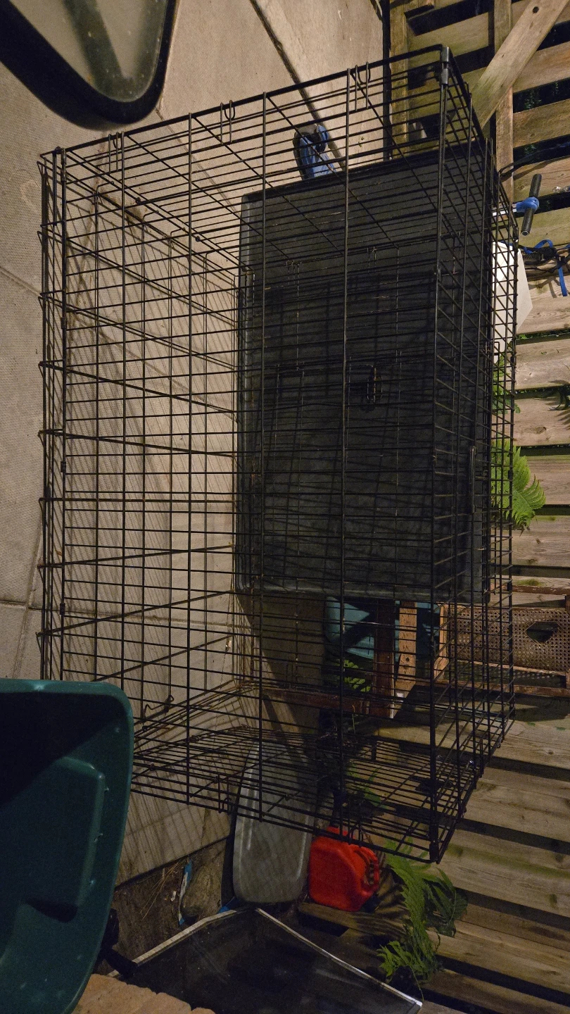Wire Dog Crate - Large/XL - photo 3