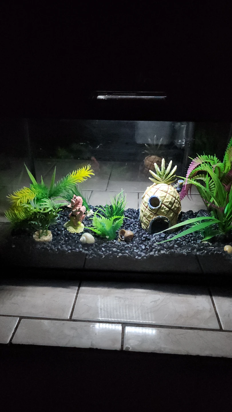 Aqueon PRO Glass Aquarium 5.5 Gallon