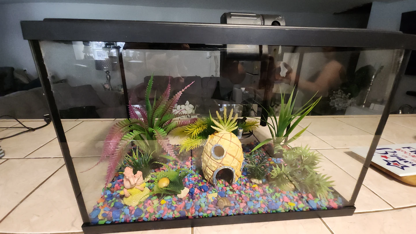Aqueon PRO Glass Aquarium 5.5 Gallon - photo 3