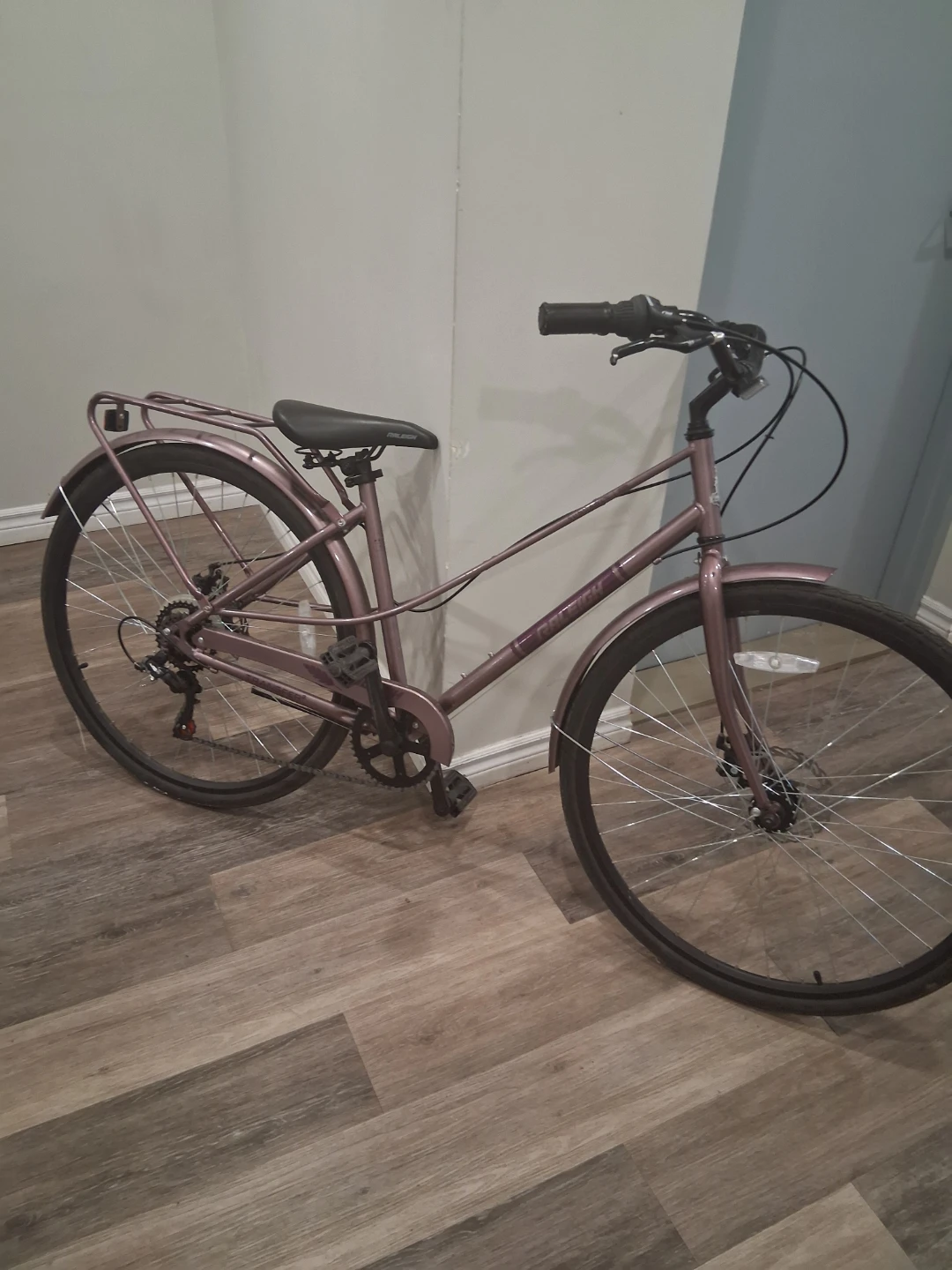 Raleigh Women's Hybrid Bike
