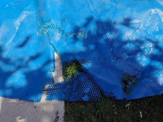 Blue Solar Pool Cover - photo 2