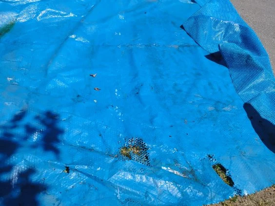 Blue Solar Pool Cover - photo 3