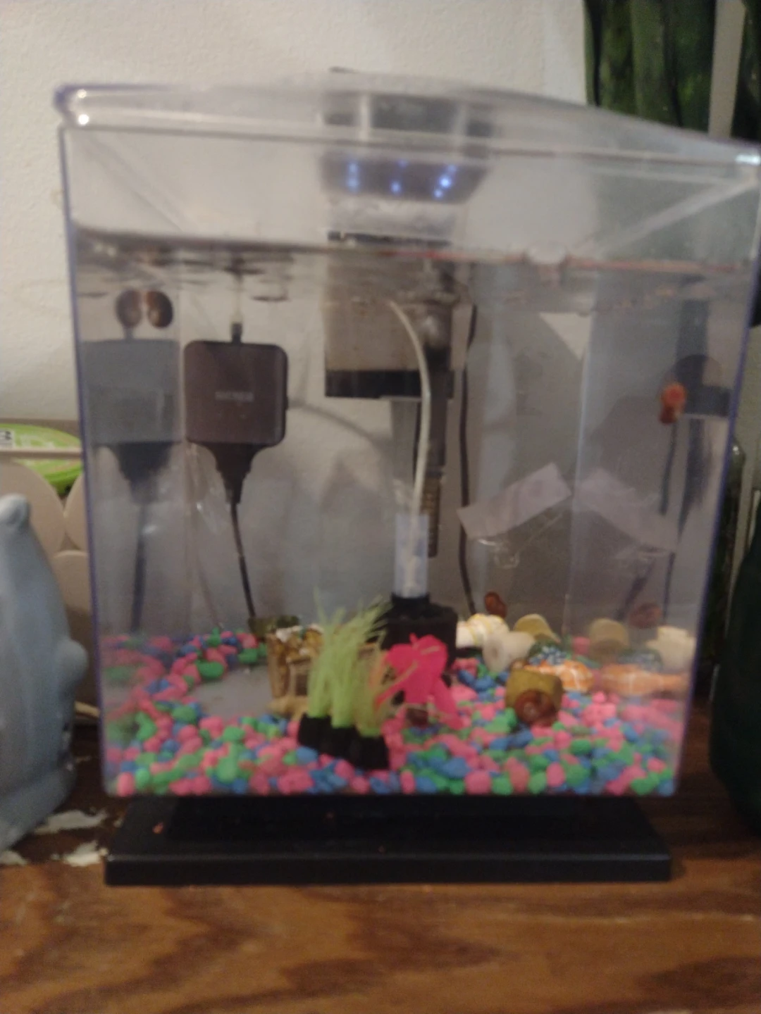 Small Desktop Aquarium with Filter and Light