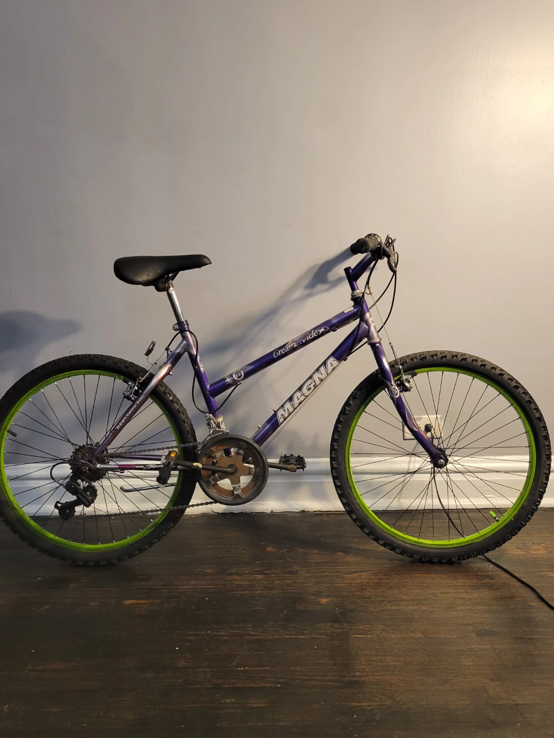 Purple Magna Great Ride Mountain Bike