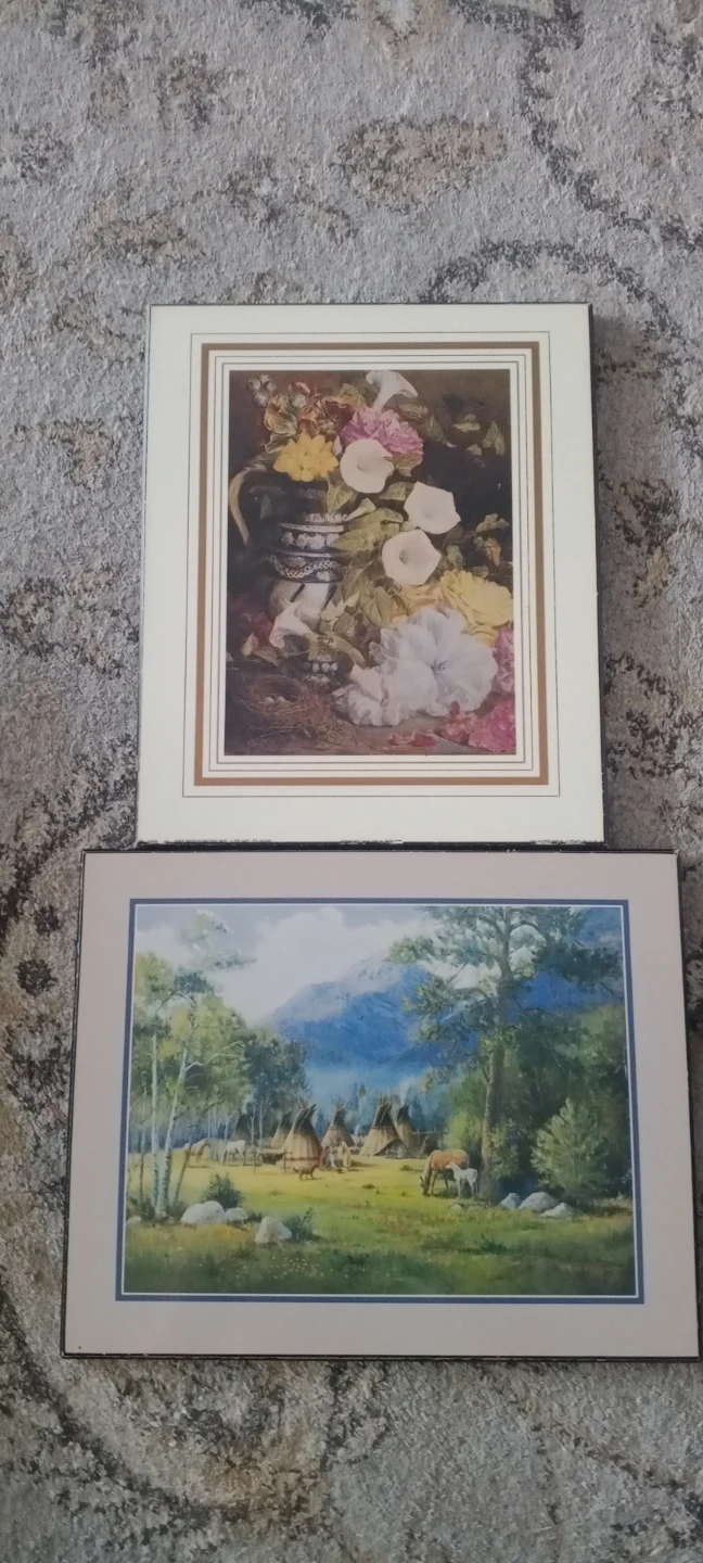 Set of 2 Framed Art Prints