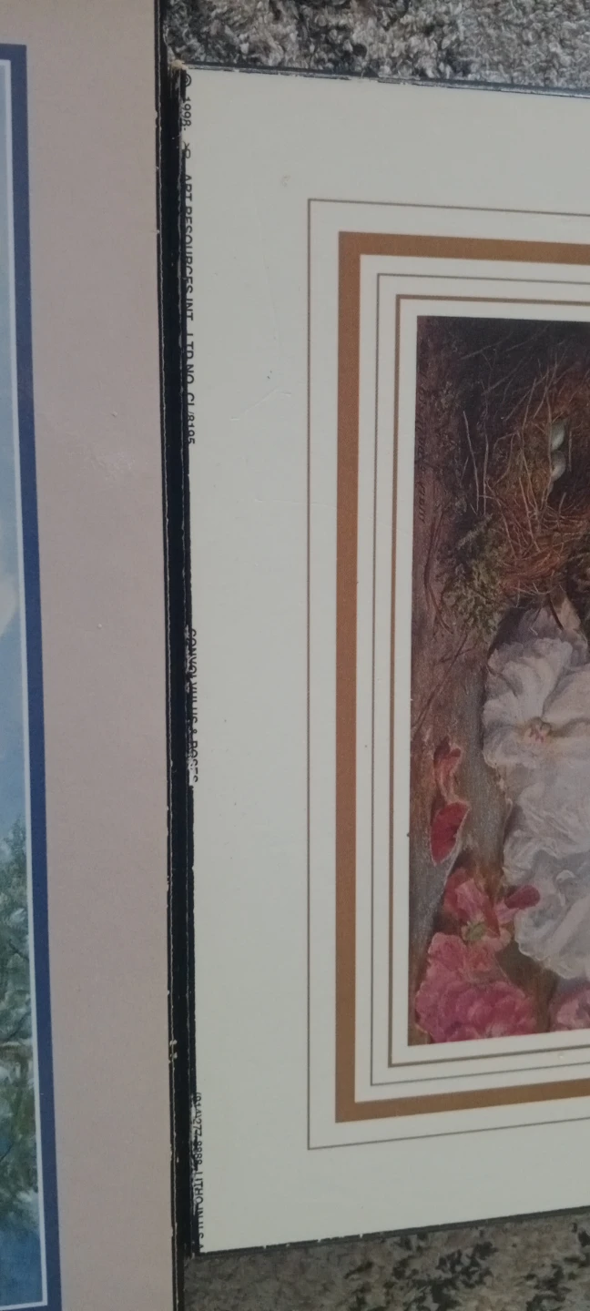Set of 2 Framed Art Prints - photo 2