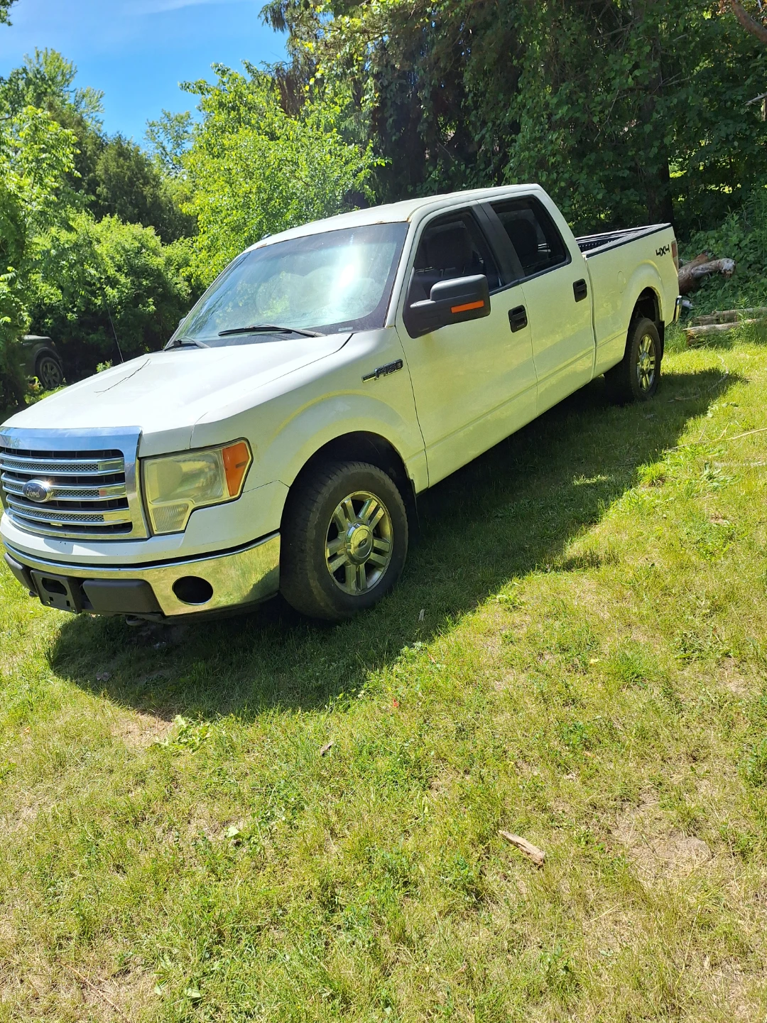 White Ford F-150 4x4 Truck
