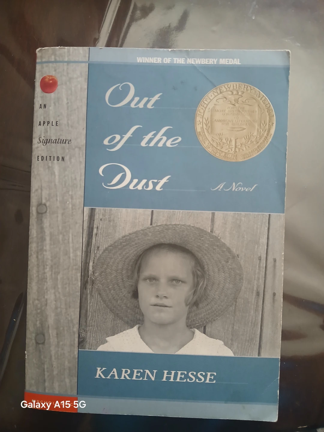 Out of the Dust by Karen Hesse - Novel