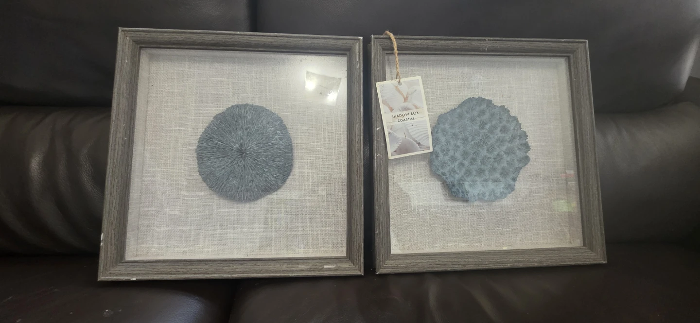 Coastal Shadow Box Wall Art Set