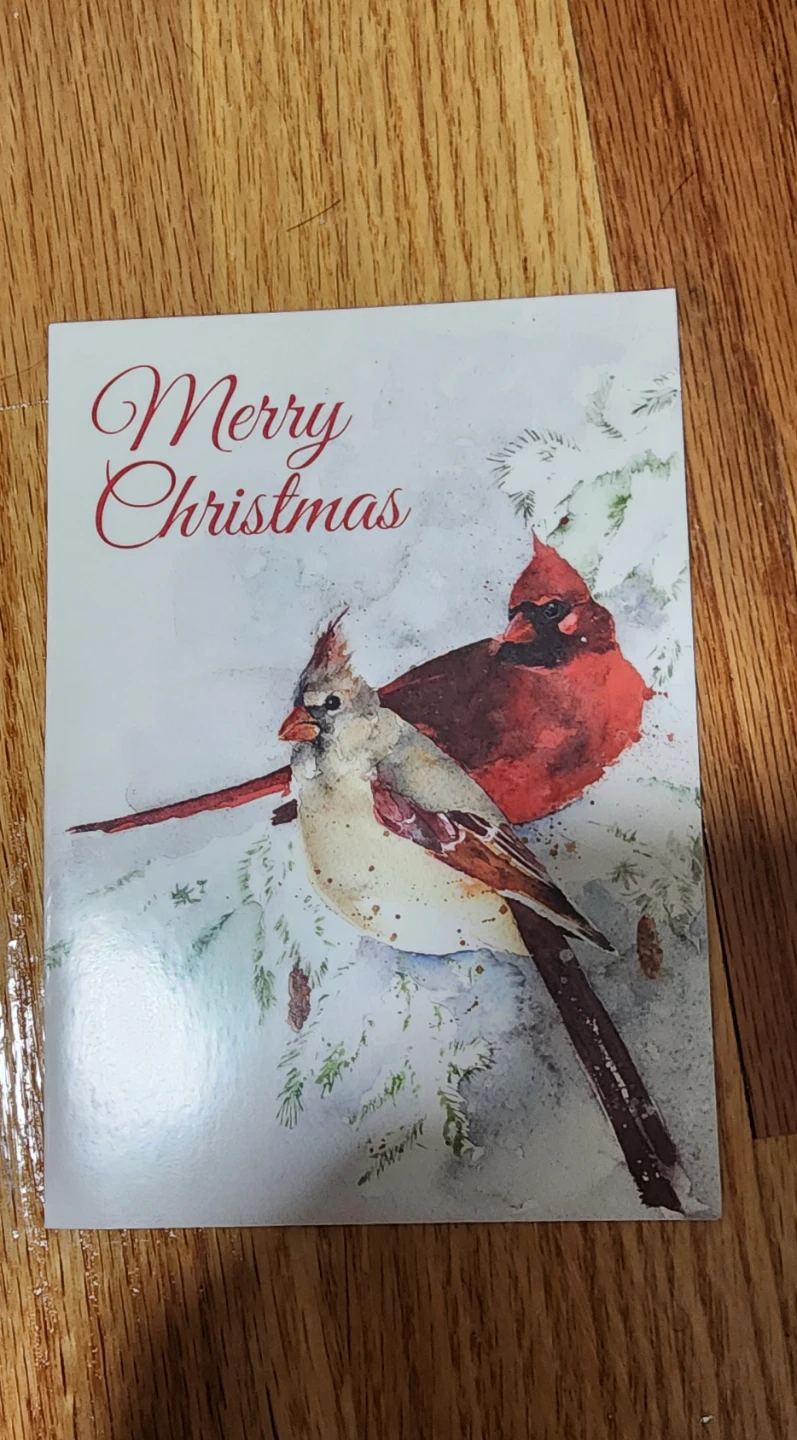 Merry Christmas Card with Cardinals⚽