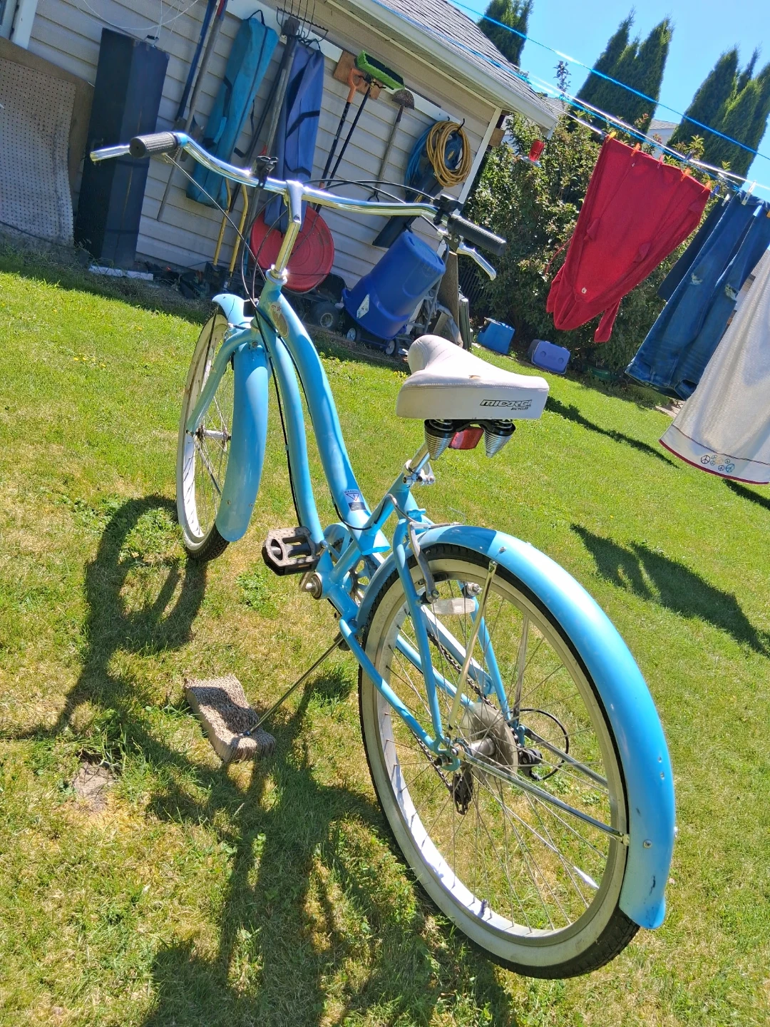 Blue Micargi Beach Cruiser Bicycle