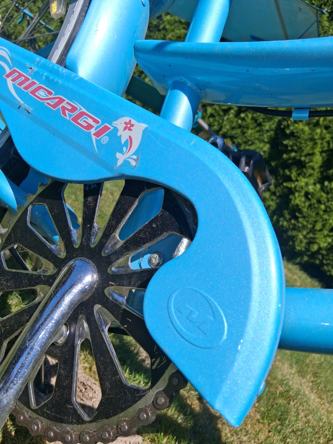 Blue Micargi Beach Cruiser Bicycle - photo 4