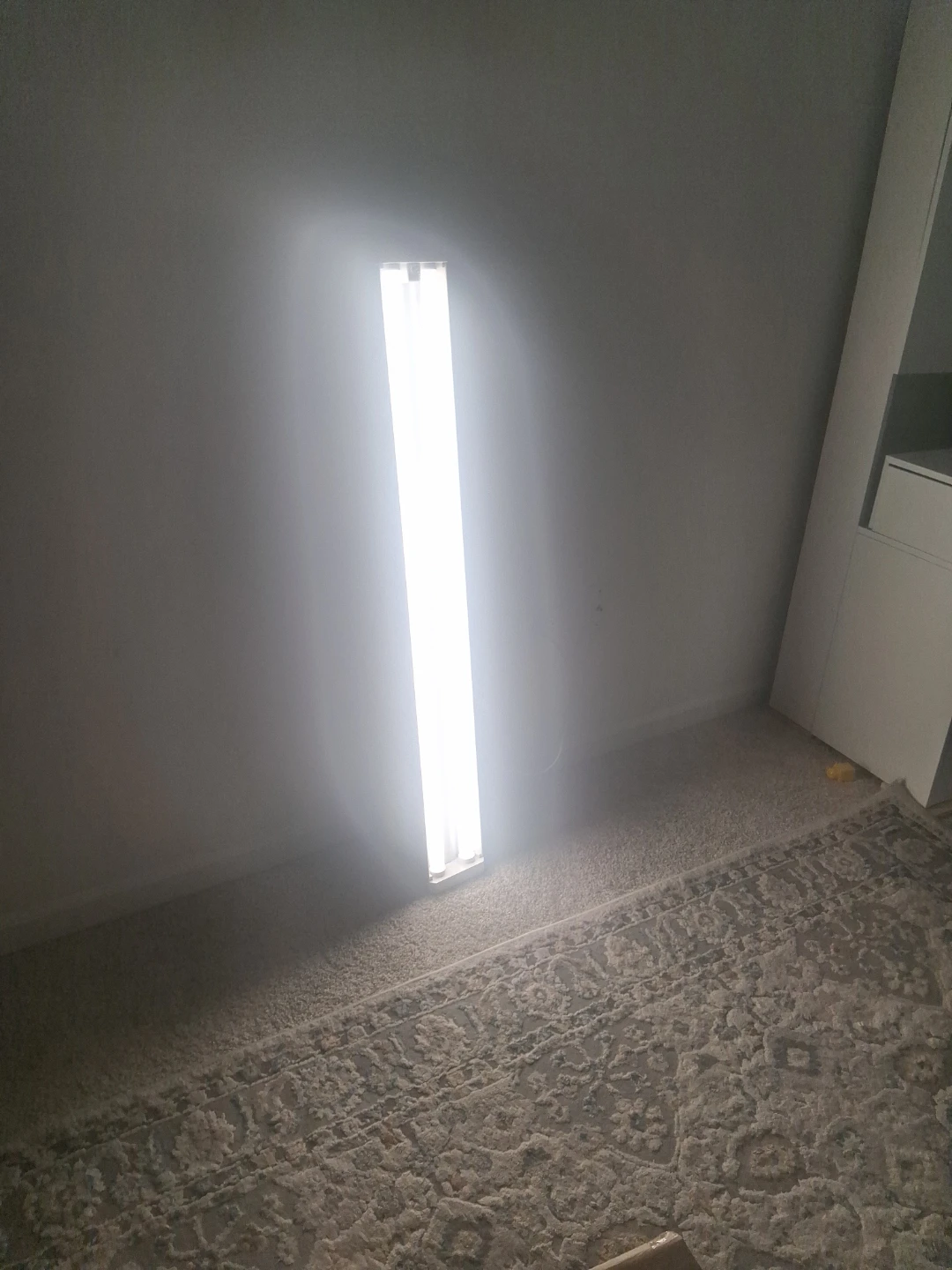 White Fluorescent Light Fixtures - photo 2
